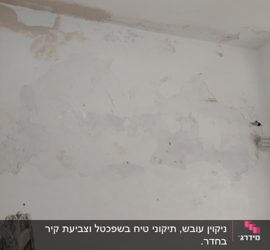 קיר מתקלף עם סולם צבוע בצבע לבן